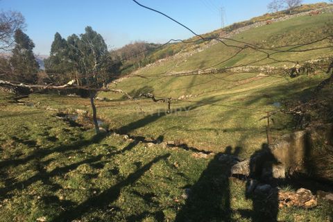 Villa i Vieira do Minho, Braga, Vieira do Minho - € 145.000 | Ref: C0256-01158 - foto 27