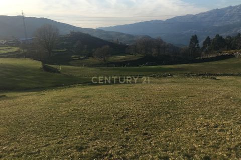 Villa i Vieira do Minho, Braga, Vieira do Minho - € 145.000 | Ref: C0256-01158 - foto 28