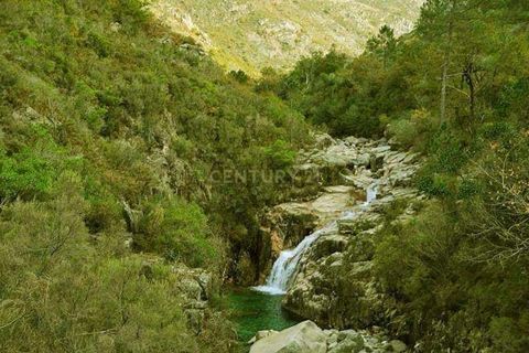 Villa i Vieira do Minho, Braga, Vieira do Minho - € 145.000 | Ref: C0256-01158 - foto 42