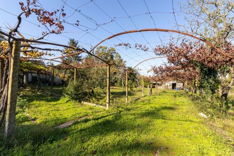 Helårsgrund i Santo Tirso, Porto, Santo Tirso - € 4.000.000 | Ref: C0256-03092 - foto 6