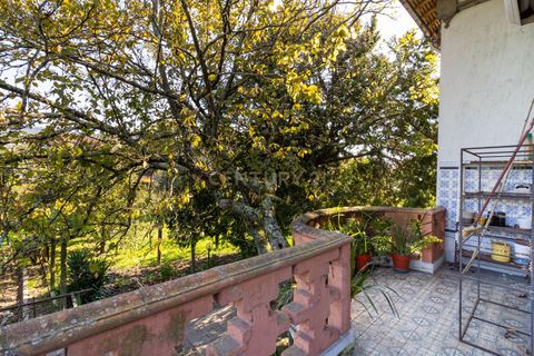 Helårsgrund i Santo Tirso, Porto, Santo Tirso - € 4.000.000 | Ref: C0256-03092 - foto 24