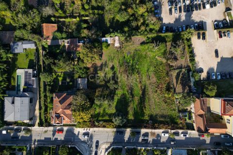 Helårsgrund i Santo Tirso, Porto, Santo Tirso - € 4.000.000 | Ref: C0256-03092 - foto 35
