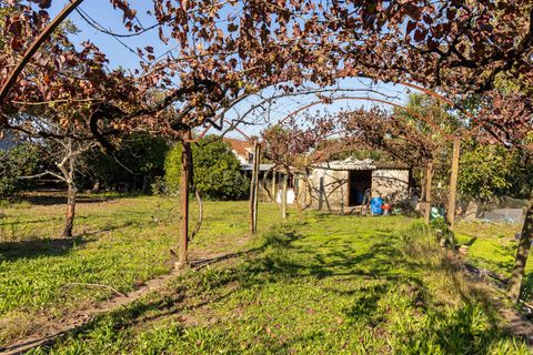 Helårsgrund i Santo Tirso, Porto, Santo Tirso - € 4.000.000 | Ref: C0256-03092 - foto 16