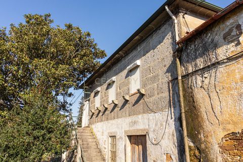 Helårsgrund i Santo Tirso, Porto, Santo Tirso - € 4.000.000 | Ref: C0256-03092 - foto 49