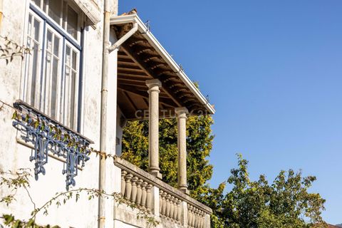 Helårsgrund i Santo Tirso, Porto, Santo Tirso - € 4.000.000 | Ref: C0256-03092 - foto 46
