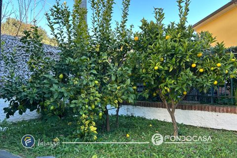 Villa a Varazze, Savona, Varazze - € 430.000 | Ref: F167-133 - foto 29