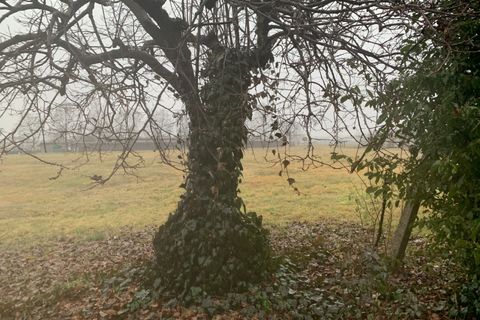 Villa i Vicenza, Vicenza, Vicenza - € 410.000 | Ref: 2820 - foto 4