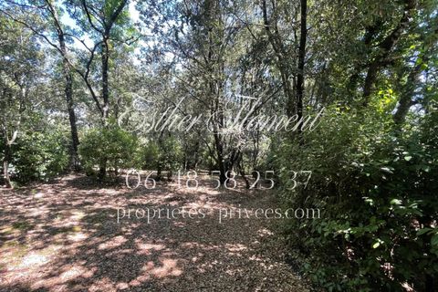 Villa i Anduze, Gard, Anduze - € 359.000 | Ref: 432487EFLA - foto 16