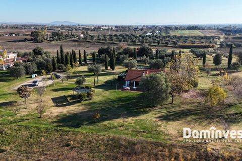 Landejendom i Capalbio, Grosseto, Capalbio - € 390.000 | Ref: v-229 - foto 14