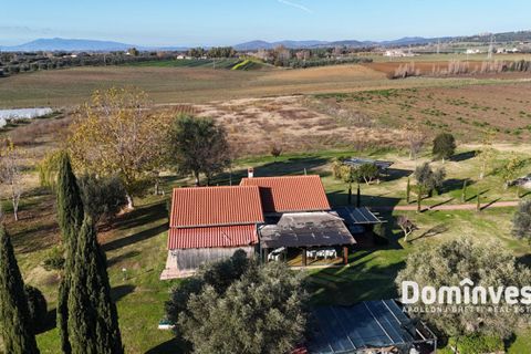 Landejendom i Capalbio, Grosseto, Capalbio - € 390.000 | Ref: v-229 - foto 15