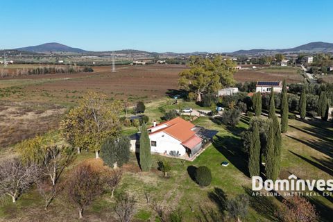 Landejendom i Capalbio, Grosseto, Capalbio - € 390.000 | Ref: v-229 - foto 16