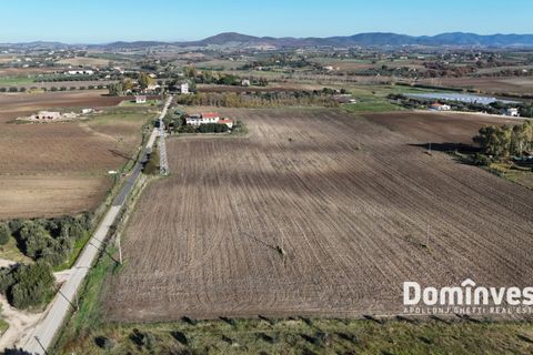 Landejendom i Capalbio, Grosseto, Capalbio - € 390.000 | Ref: v-229 - foto 18