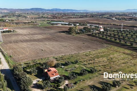 Landejendom i Capalbio, Grosseto, Capalbio - € 390.000 | Ref: v-229 - foto 19