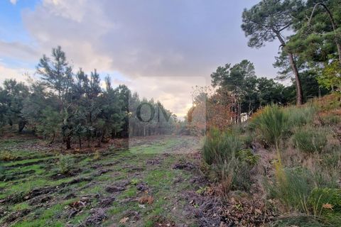 Helårsgrund i Vila Real, Vila Real, Vila Real - € 180.000 | Ref: TER_1112 - foto 7