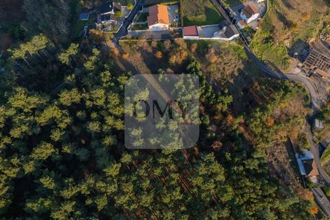 Helårsgrund i Vila Real, Vila Real, Vila Real - € 180.000 | Ref: TER_1112 - foto 9