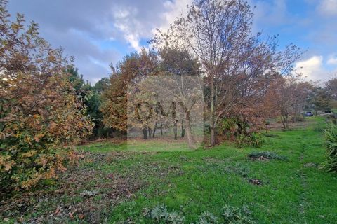 Helårsgrund i Vila Real, Vila Real, Vila Real - € 180.000 | Ref: TER_1112 - foto 10