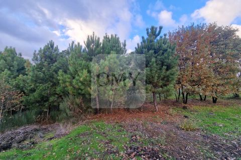 Helårsgrund i Vila Real, Vila Real, Vila Real - € 180.000 | Ref: TER_1112 - foto 13