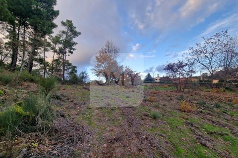 Helårsgrund i Vila Real, Vila Real, Vila Real - € 180.000 | Ref: TER_1112 - foto 14