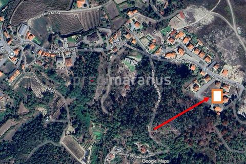 Helårsgrund i Amarante, Porto, Amarante - € 55.000 | Ref: T/11346 - foto 3