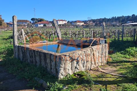 Helårsgrund i Moncao, Viana do Castelo, Moncao - € 170.000 | Ref: SAFTI:007510 - foto 2