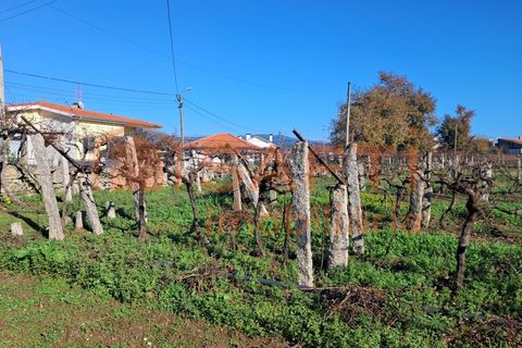 Helårsgrund i Moncao, Viana do Castelo, Moncao - € 170.000 | Ref: SAFTI:007510 - foto 3