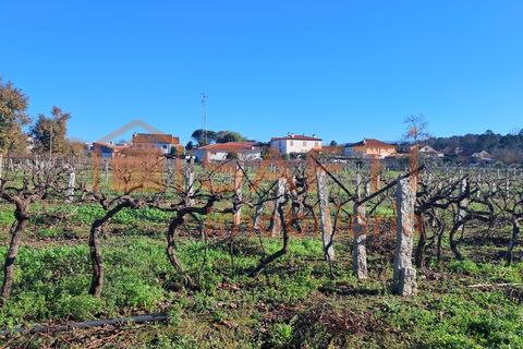 Helårsgrund i Moncao, Viana do Castelo, Moncao - € 170.000 | Ref: SAFTI:007510 - foto 4
