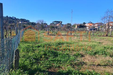 Helårsgrund i Moncao, Viana do Castelo, Moncao - € 170.000 | Ref: SAFTI:007510 - foto 11