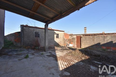 Byhus i Miranda do Corvo, Coimbra, Miranda do Corvo - € 85.000 | Ref: 776817 - foto 28