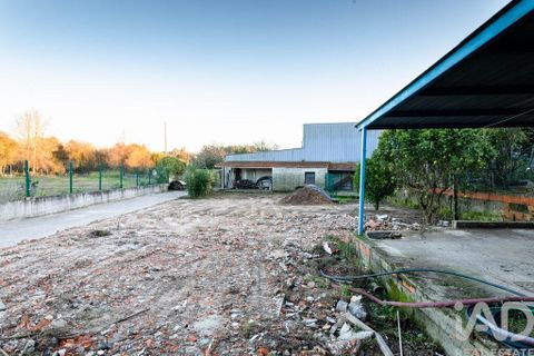 Byhus i Aveiro, Aveiro, Aveiro - € 160.000 | Ref: 759639 - foto 3