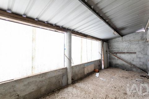Byhus i Aveiro, Aveiro, Aveiro - € 160.000 | Ref: 759639 - foto 28