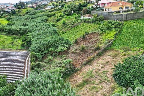 Terra a Santana, Madeira, Santana - € 99.000 | Ref: 770160 - foto 2