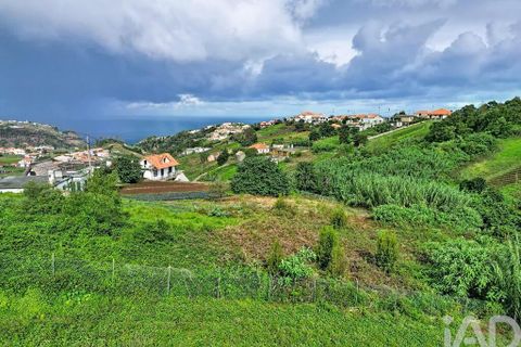 Terra a Santana, Madeira, Santana - € 99.000 | Ref: 770160 - foto 3