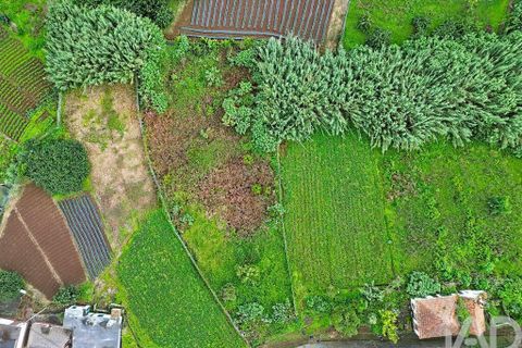 Terra a Santana, Madeira, Santana - € 99.000 | Ref: 770160 - foto 5