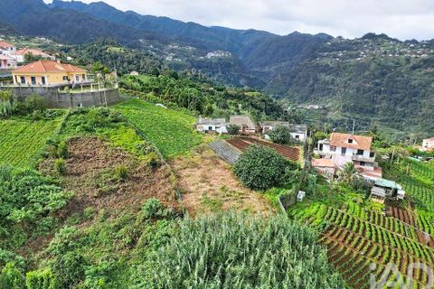 Terra a Santana, Madeira, Santana - € 99.000 | Ref: 770160 - foto 6