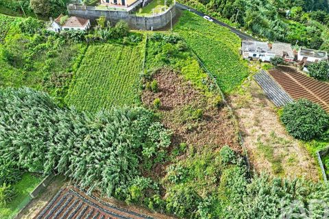 Terra a Santana, Madeira, Santana - € 99.000 | Ref: 770160 - foto 7