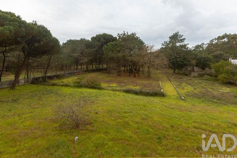 Erhvervsejendom i Vila do Conde, Porto, Vila do Conde - € 2.650.000 | Ref: 154810 - foto 24