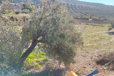 Helårsgrund i Moclin, Granada, Moclin - € 50.000 | Ref: EXP12396/8930 - foto 10