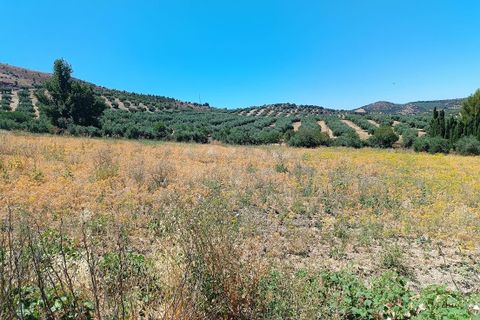 Terreno en Moclin, Granada, Moclin - € 50.000 | Ref: EXP12396/8930 - photo 14