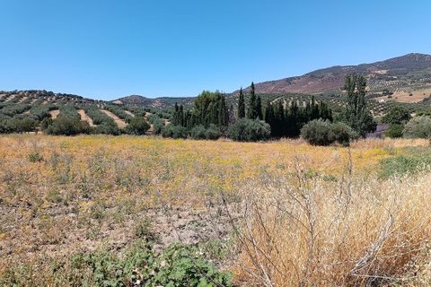 Terreno en Moclin, Granada, Moclin - € 50.000 | Ref: EXP12396/8930 - photo 15