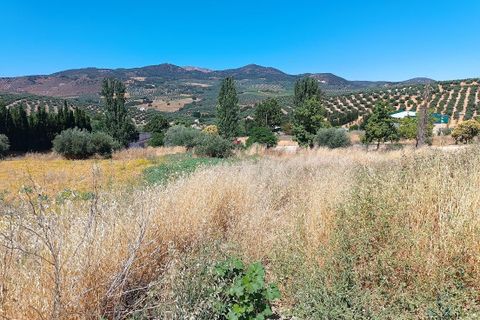Terreno en Moclin, Granada, Moclin - € 50.000 | Ref: EXP12396/8930 - photo 16