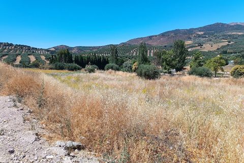 Terreno en Moclin, Granada, Moclin - € 50.000 | Ref: EXP12396/8930 - photo 19