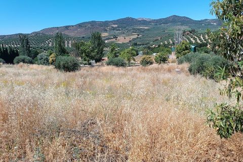 Terreno en Moclin, Granada, Moclin - € 50.000 | Ref: EXP12396/8930 - photo 20
