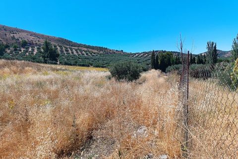 Terreno en Moclin, Granada, Moclin - € 50.000 | Ref: EXP12396/8930 - photo 22