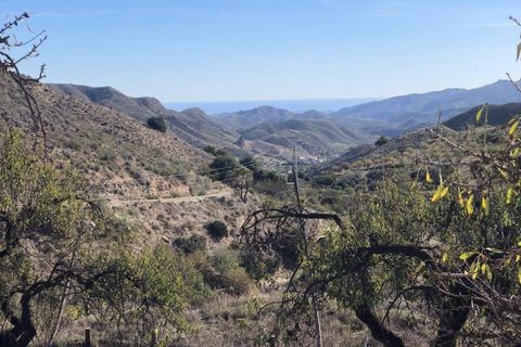 Landejendom i Lubrin, Almeria, Lubrin - € 430.000 | Ref: OLV2143 - foto 16