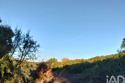 Terra a Santarem, Santarem, Santarem - € 70.000 | Ref: 774351 - foto 2