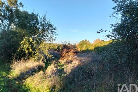 Terra a Santarem, Santarem, Santarem - € 70.000 | Ref: 774351 - foto 3