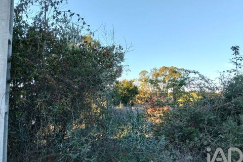 Terra a Santarem, Santarem, Santarem - € 70.000 | Ref: 774351 - foto 5