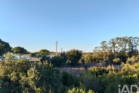 Terra a Santarem, Santarem, Santarem - € 70.000 | Ref: 774351 - foto 6
