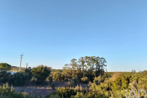 Terra a Santarem, Santarem, Santarem - € 70.000 | Ref: 774351 - foto 7