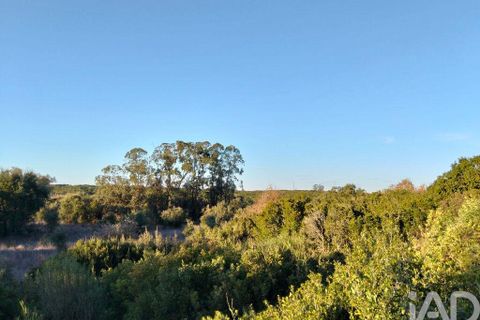 Terra a Santarem, Santarem, Santarem - € 70.000 | Ref: 774351 - foto 8